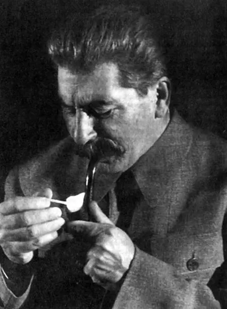 Иосиф Сталин Фото М Альперта из архива В Первенцева Комментируя это - фото 28