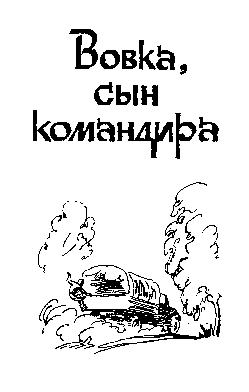 ВОВКА СЫН КОМАНДИРА Моим сыновьям Александру и Тимуру посвящается - фото 10