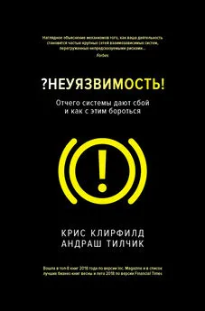 Крис Клирфилд - ?Неуязвимость! Отчего системы дают сбой и как с этим бороться