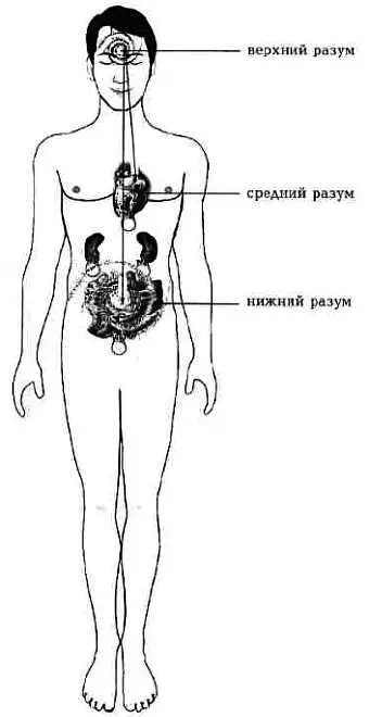 Рис 113 Расслабьтесь и направьте вниз улыбку а Коснитесь пальцами точки - фото 14