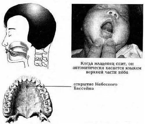 Рис 119 Поместите кончик языка на верхнее нёбо 5 Улыбнитесь своему - фото 19