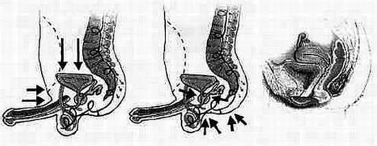 Рис 123 Почувствуйте и слегка сожмите промежность и половые органы В конце - фото 23