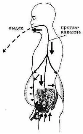 Рис 125 Дыхание Тигра Выдохните и протолкните Ци в нижнюю часть живота d - фото 25