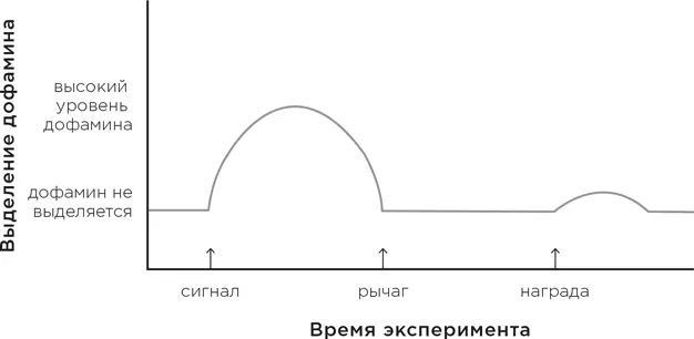 Обучение объясняет контекстную зависимость желаний у тех кто пристрастился к - фото 7