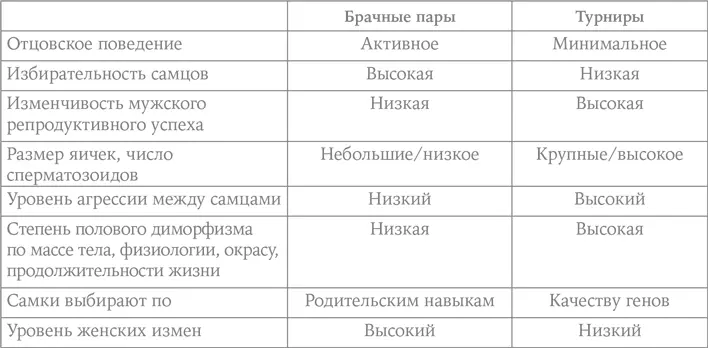 К видам приматов практикующих брачные пары относятся южноамериканские - фото 31