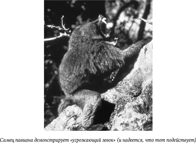 Зачем же нужно распределение по рангам В 1960х гг с подачи Марлина Перкинса - фото 36