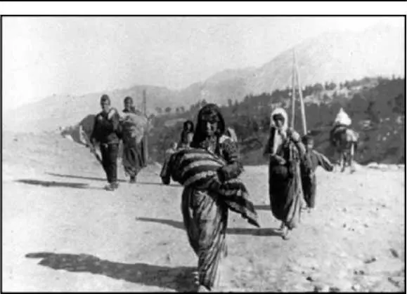 Подделка 12 Эту фотографию можно увидеть во многих армянских сайтах - фото 32