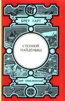 Брет Гарт - Степной найденыш (сборник)