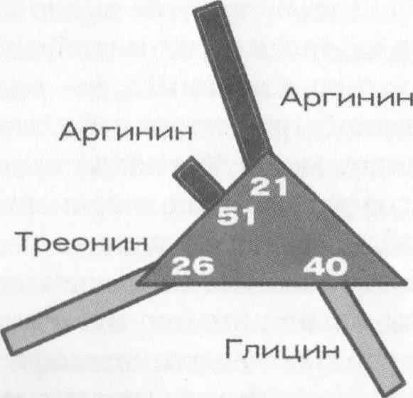 C точки зрения химии Сердечного центра есть один очень важный аспект это - фото 16