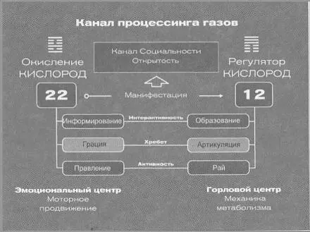 На уровне хребта мы встречаемся с артикуляцией с изящным или мерзким - фото 44