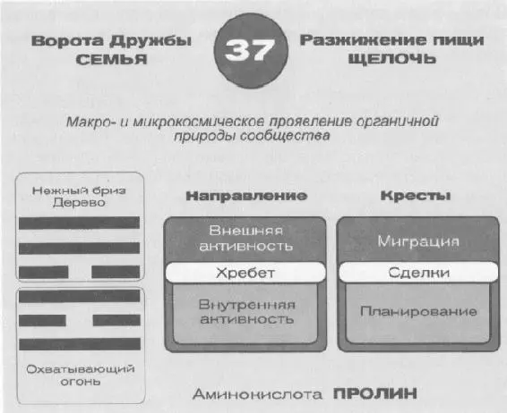 Заголовок 37й гексаграммы гласит макро и микрокосмические проявления - фото 48