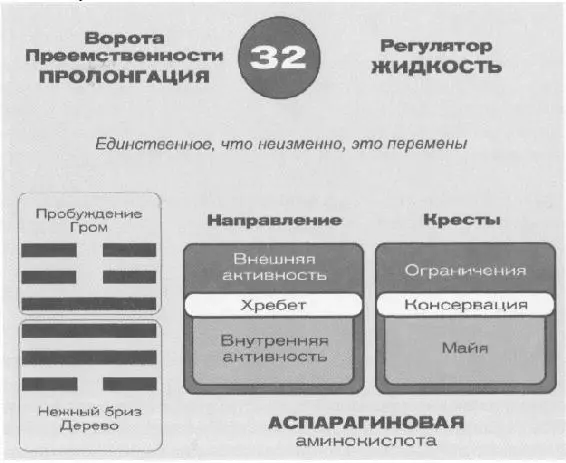 С точки зрения анатомии 32й гексаграммы нижняя триграмма представляет собой - фото 52