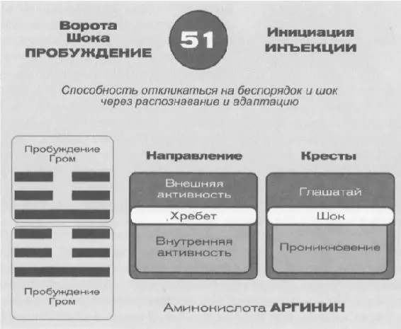 На уровне активности внешние вещества признаются и становятся частью нашего - фото 65