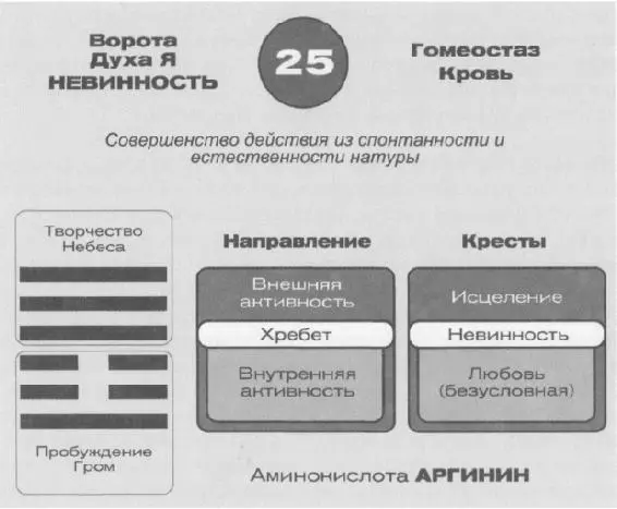 Заголовок 25х совершенство действия исходящее из невинной и спонтанной - фото 66