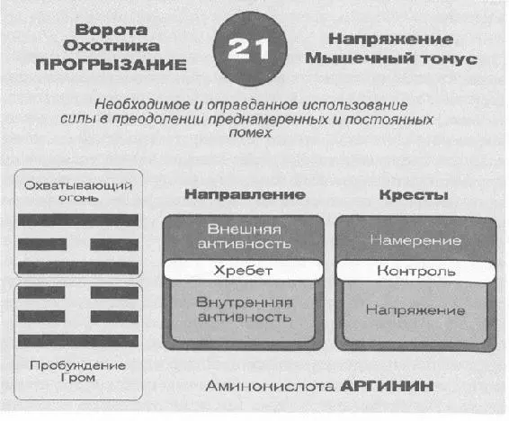 Важно увидеть связь между 54ми в Корне и 45ми в Горле Это один из древних - фото 68