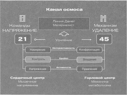 В канале 2145 встречаются напряжение управление диетой с командами на сбор и - фото 70