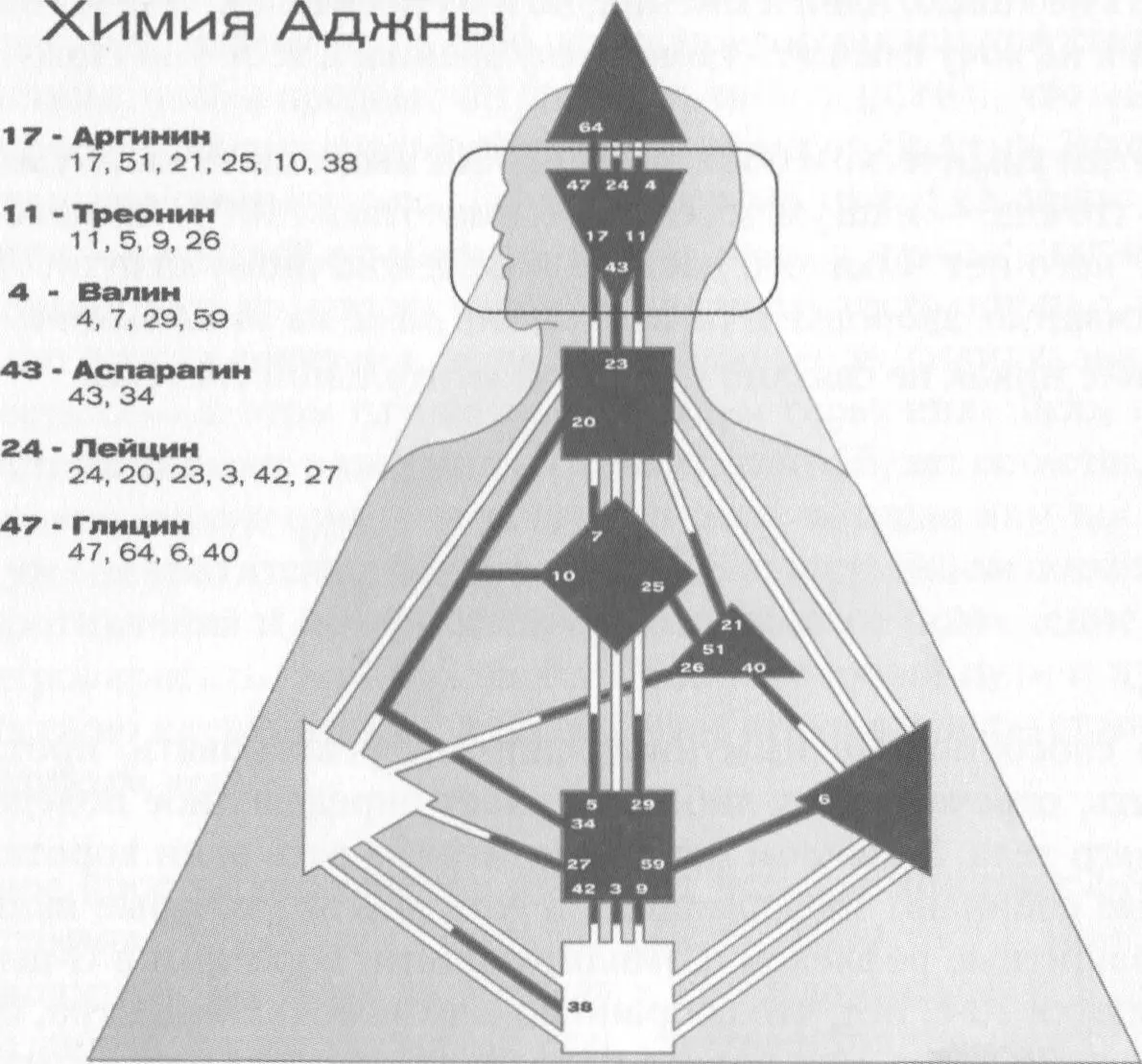 И тогда вы освобождаетесь а вместе с вами и тело Кроме того это глубоко - фото 57