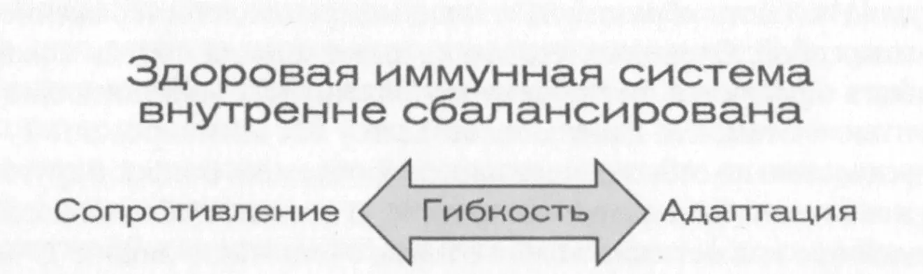 3и ворота как часть Креста Законов имеют невероятное значение для всей жизни - фото 61