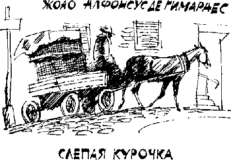 Слепая курочка Свежим утром человек с всклокоченной бородой сидел на облучке - фото 8