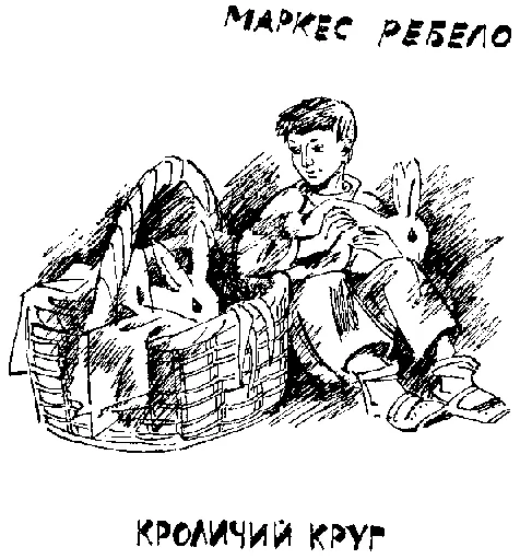 Кроличий круг Изабель Беатрис с глазами медового цвета и Лоло и Силвино - фото 12