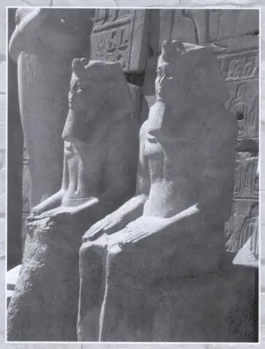 Шеши и Сесай Скарабеи среднего бронзового века Первые цари гиксосов - фото 49