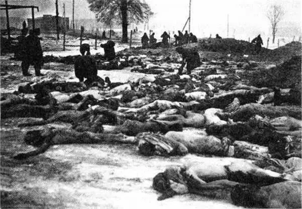 Вязьма ноябрь 1941 г В компетенции ОКВ находились лагеря военнопленных - фото 9