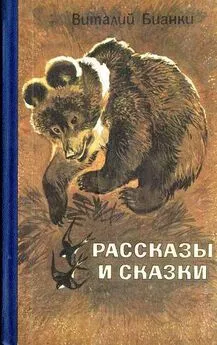 Виталий Бианки: Сказки-несказки. Как Лис Ежа Перехитрил