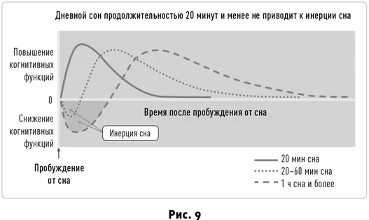 Кратковременный сон продолжительностью от 10 до 20 минут положительно влияет на - фото 13