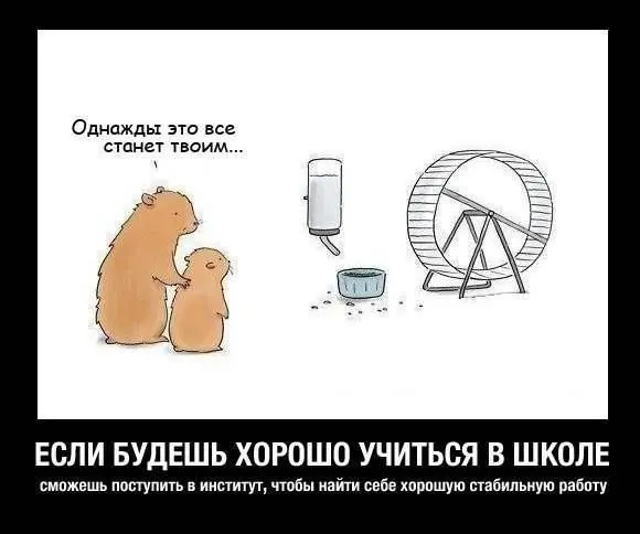 Это я сейчас для школьников говорю если кто не понял поясняю я гостям - фото 8