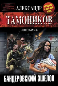 Александр Тамоников - Бандеровский эшелон