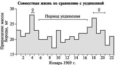 Изменения в интенсивности роста бороды во время недолгого пребывания на - фото 15