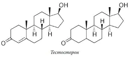 Мы будем говорить тестостерон так привычнее и проще но на самом деле речь - фото 34