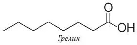 Присоединение октановой кислоты к грелину происходит в желудке и поджелудочной - фото 44