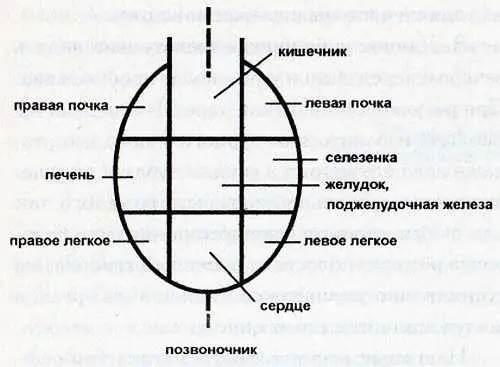 Внимательно изучите топографию рефлексогенных зон языка Научитесь ощущать - фото 1