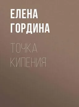 Елена Гордина - Точка кипения