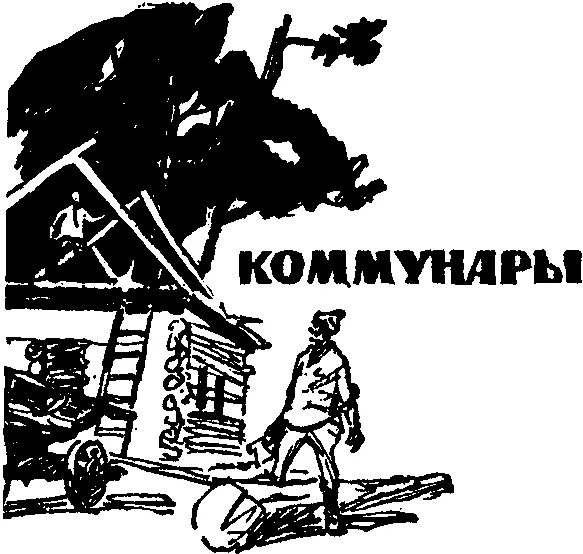 Засветила Советская власть в 1920 году огонек коммуны на далеком Алтае Бережно - фото 6