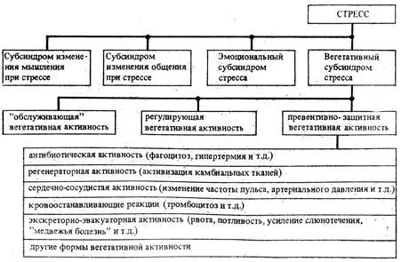 Рис 15 Схема развития вегетативного субсиндрома стресса Рассмотрим подробнее - фото 17