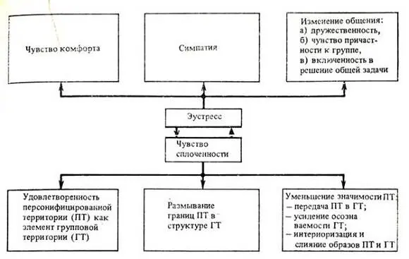 Рис 31 Схематическое изображение проксимических переменных при аустрессе - фото 36