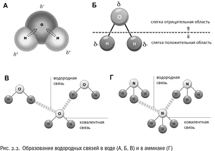 А вот связь между углеродом и водородом CH считается неполярной хоть атомы - фото 12