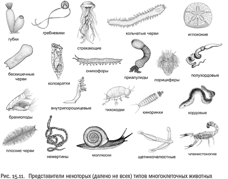 Новые горизонты Знаменитый американский физиктеоретик Джон Арчибальд Уилер - фото 96