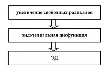 Рисунок 35 Роль окислительного стресса в механизме развития ЭД Результаты - фото 36