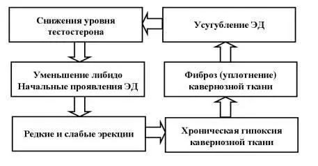 Рисунок 36 Порочный круг при эректильной дисфункции Потребление кофеина - фото 37