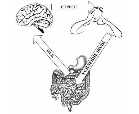 Рисунок 37 Стресс и боли при СРК В настоящее время доказана связь между - фото 40