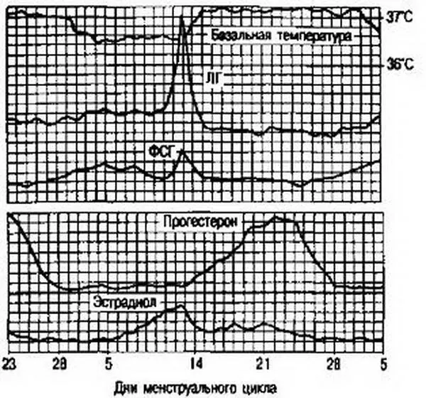 Рис 213 Содержание гормонов в плазме крови в течение менструального цикла - фото 14