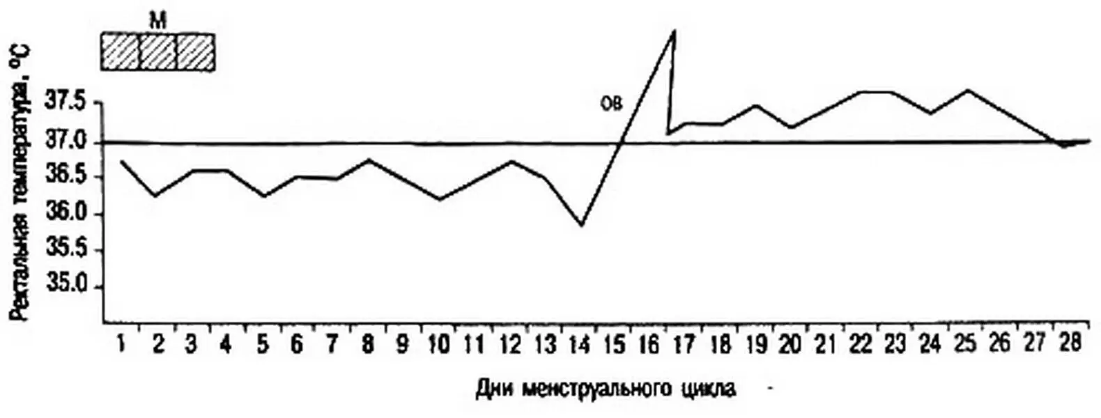 Рис 216 Ректальная температура при двухфазном цикле М менструация О В - фото 17