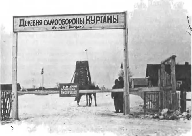 Оборонная деревня Курганы Когда отряд подвыпивших партизан беззаботно - фото 98