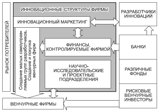 Рис 161 Вариант выделения инновационных структур и их совместное - фото 89