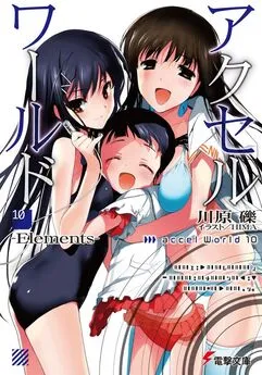 Рэки Кавахара - Accel World 10: Элементы