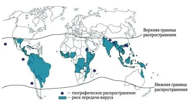 Рис 4 Географическое распространение лихорадки денге Рис 9 Павшая лошадь - фото 31