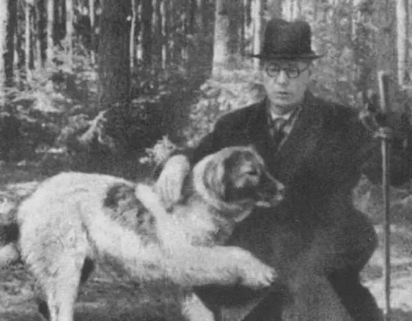 Николай Заболоцкий в Переделкине Конец 1940х гг Александр Фадеев 1950е гг - фото 59
